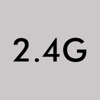 2.4G Wireless Bridge (1)